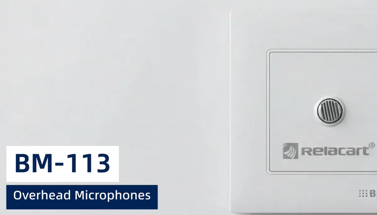 BM-113 Overhead Microphones